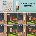 new-improved-power-pet-automatic-wifi-do-4.jpg