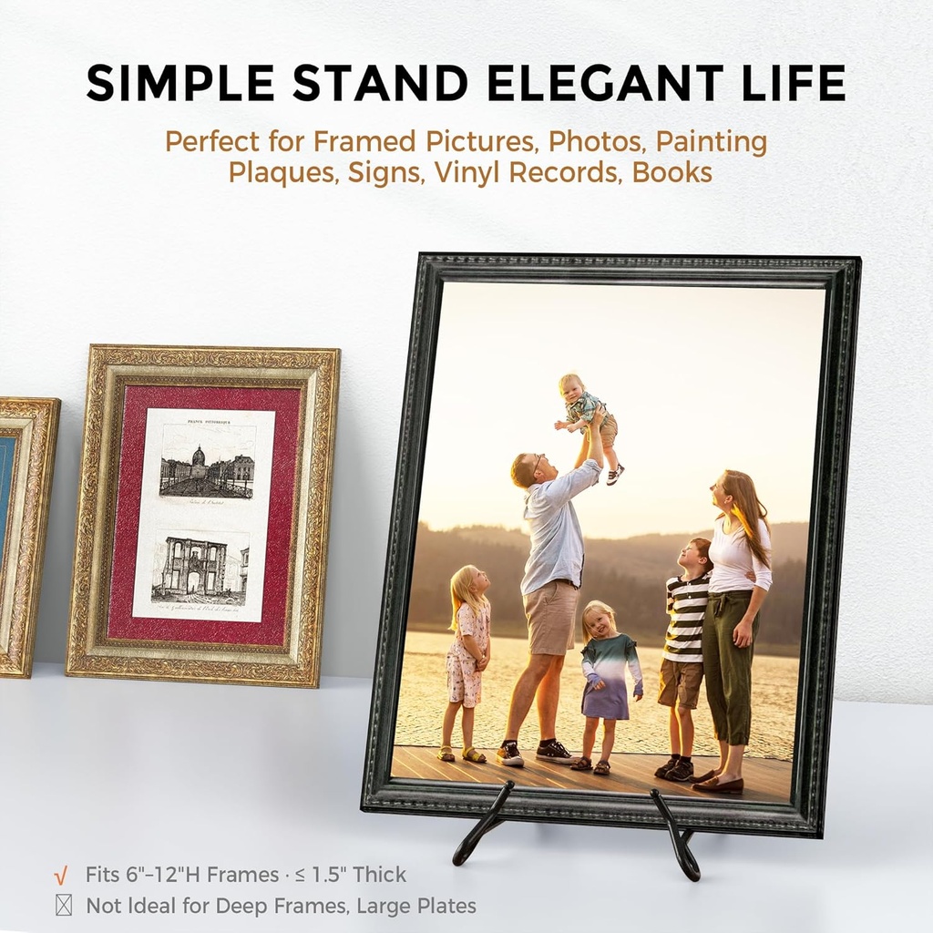 tr-life-plate-stands-for-display-65-inch-5.jpg