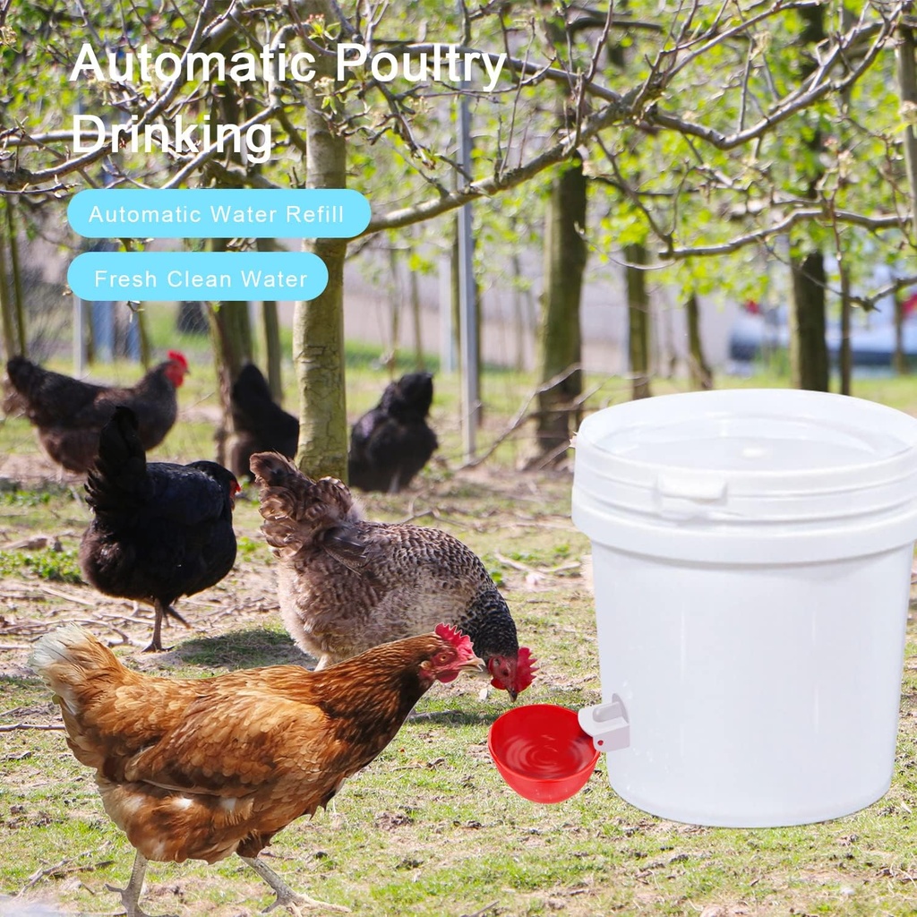 professional-chicken-waterer-cups-8-pack-5.jpg
