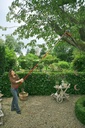 wolf-garten-rcvm-multi-change-adjustable-2.jpg