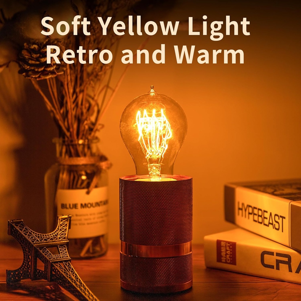 warm-incandescent-light-bulbs-60-watta19-5.jpg