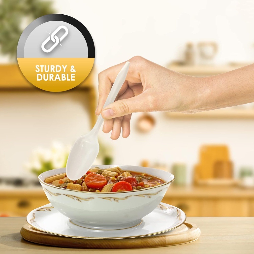 pami-bulk-plastic-spoons-1000-count-disp-5.jpg