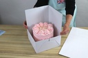 pme-make-it-tall-cake-box-extender-for-1-3.jpg
