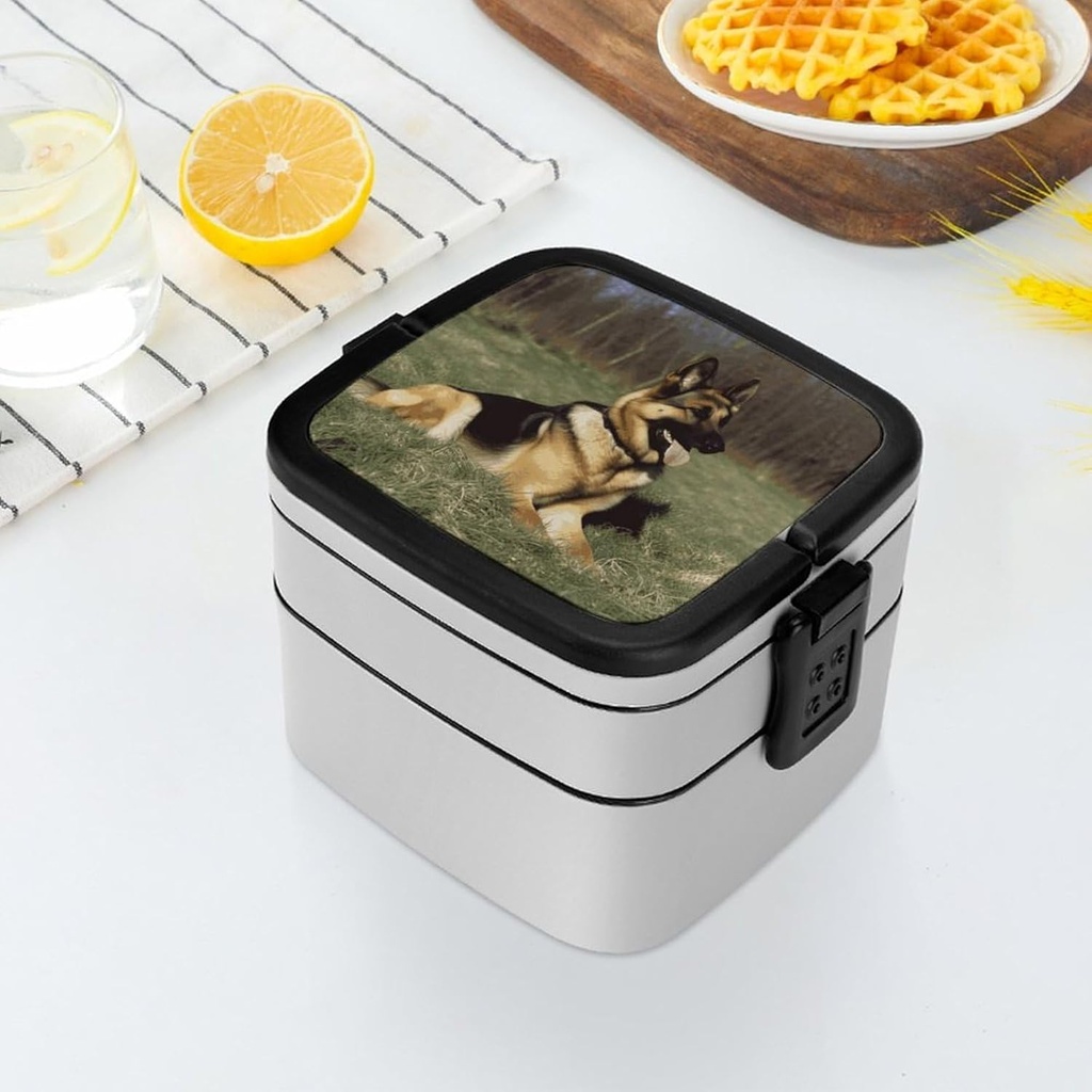 stackable-double-layer-bento-box-german--6.jpg