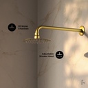 swiss-madison-ivy-18-gpm-wall-mount-fixe-3.jpg