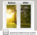 wpctev-window-film-one-way-mirror-tint-v-5.jpg
