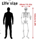 wocst-54ft165cm-halloween-skeleton-full--2.jpg