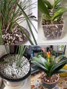10qt-organic-perlite-horticultural-soil--4.jpg