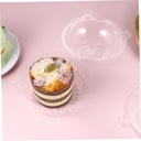 owl-design-plastic-cake-boxes-single-cup-5.jpg