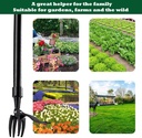 weed-puller-tool-stand-up-garden-weeder--5.jpg