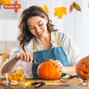 shuttle-art-20-pcs-halloween-pumpkin-car-6.jpg