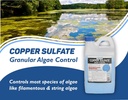 crystal-blue-copper-sulfate-algaecide----2.jpg