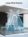 warmiplanet-ceiling-fans-with-lights-and-3.jpg