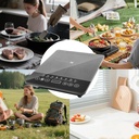 portable-induction-hot-plate-110v-220v-e-2.jpg