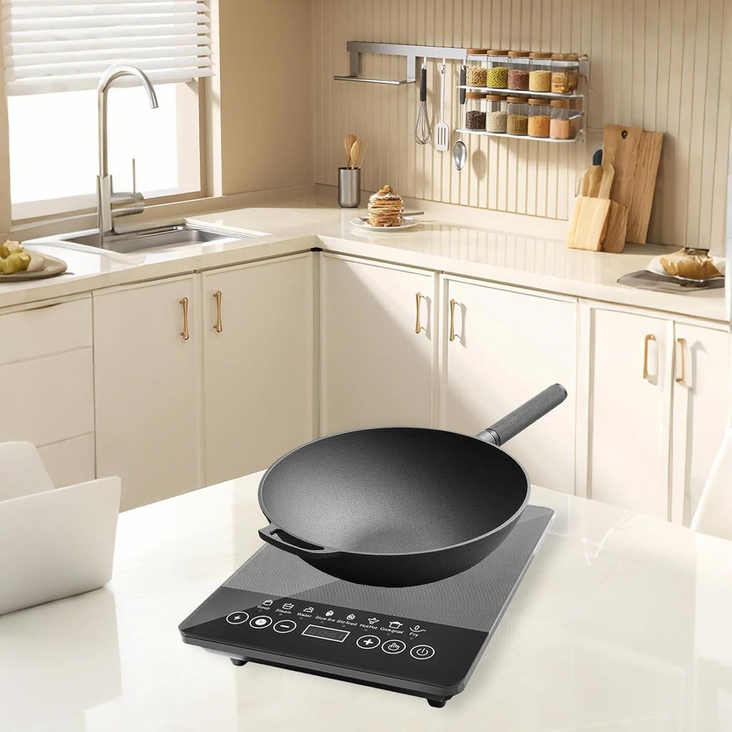portable-induction-hot-plate-110v-220v-e-3.jpg