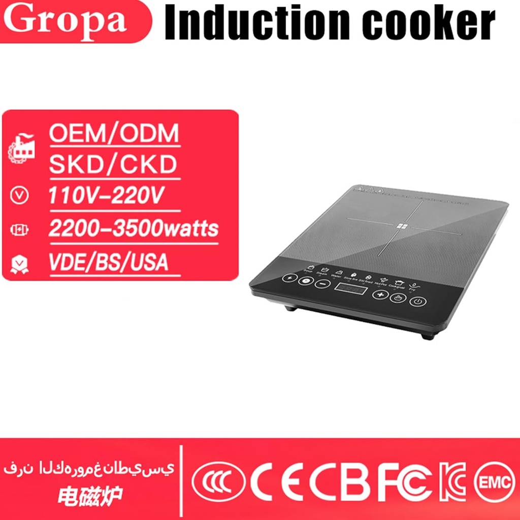 portable-induction-hot-plate-110v-220v-e-5.jpg