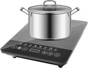 portable-induction-hot-plate-110v-220v-e-6.jpg
