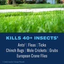 bioadvanced-complete-brand-insect-killer-2.jpg