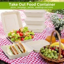 greensight-compostable-take-out-food-con-2.jpg