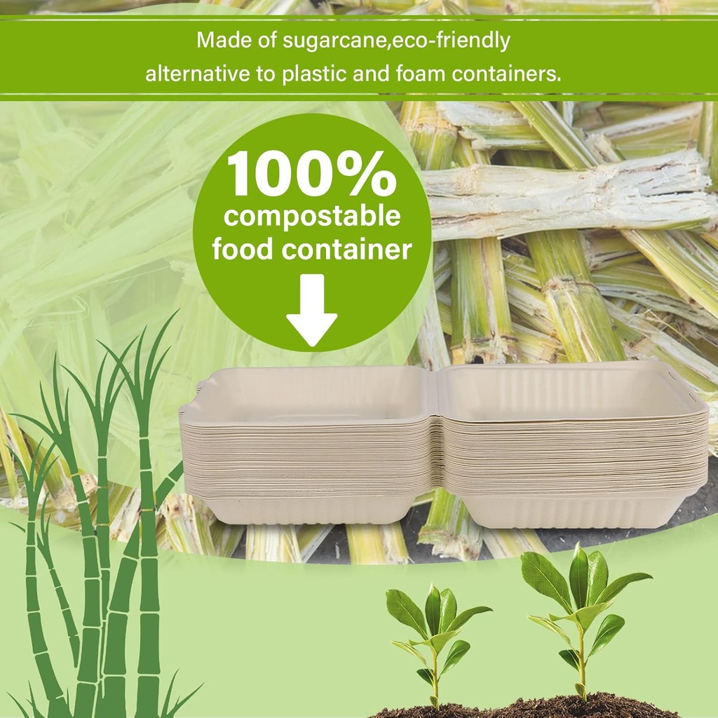 greensight-compostable-take-out-food-con-4.jpg