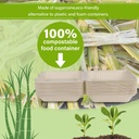 greensight-compostable-take-out-food-con-4.jpg