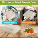 greensight-compostable-take-out-food-con-5.jpg