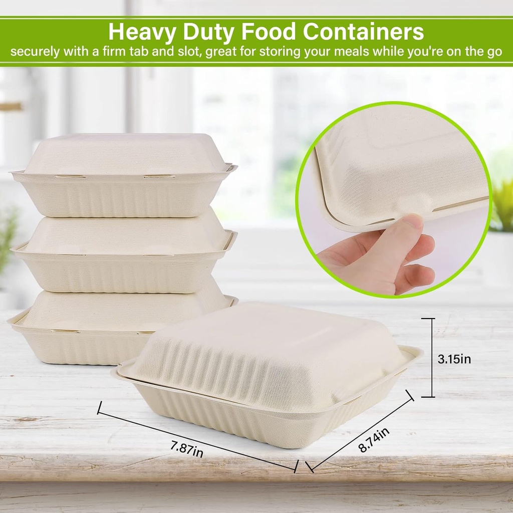 greensight-compostable-take-out-food-con-6.jpg