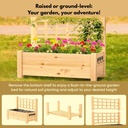 raised-garden-bed-with-trellis---elevate-5.jpg
