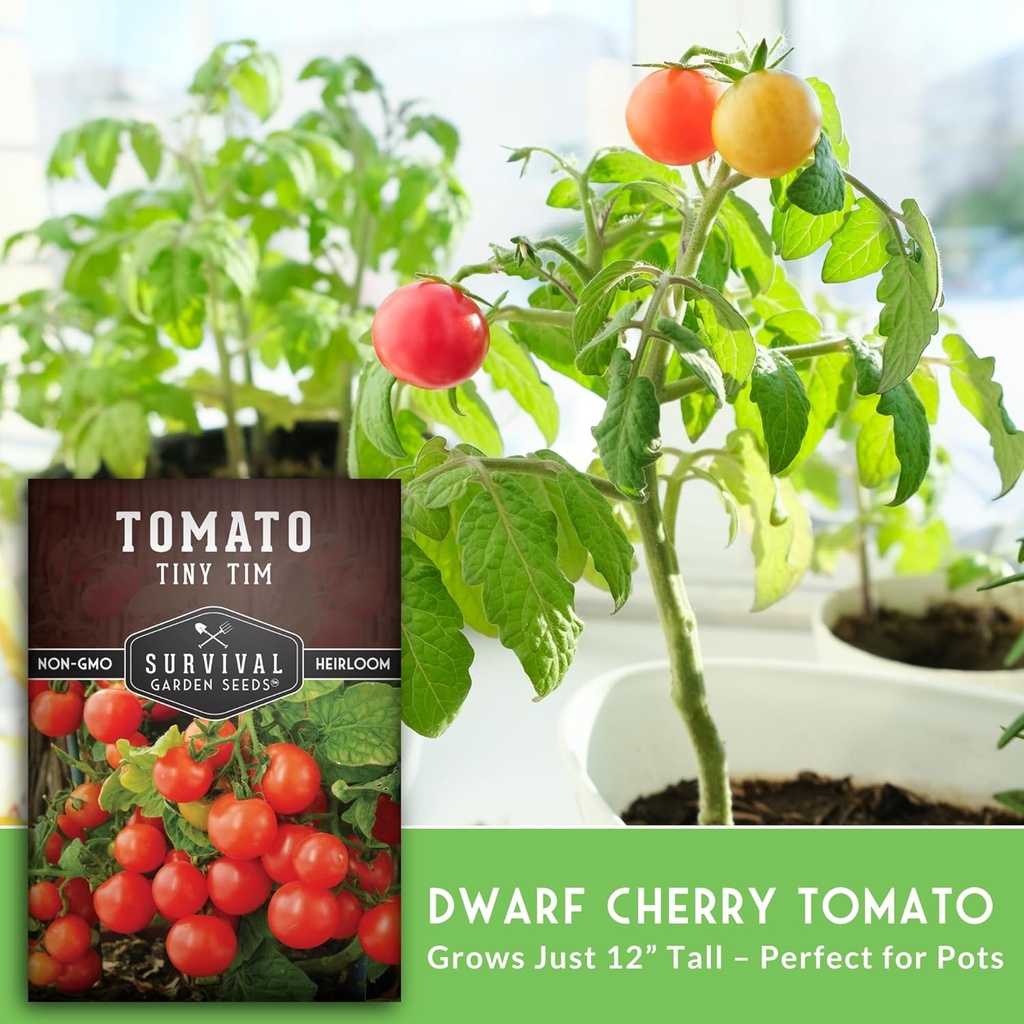 survival-garden-seeds---tiny-tim-tomato--4.jpg