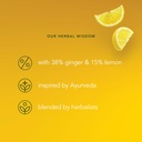 pukka-herbs-organic-lemon-ginger-manuka--5.jpg