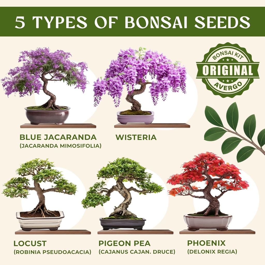 avergo-bonsai-tree-kit-for-beginners-5x--2.jpg