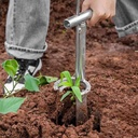 1pc-plant-and-fruit-tree-seedling-transp-3.jpg