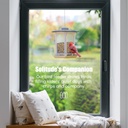 2-pack-solar-bird-feeders-for-outdoors-h-4.jpg