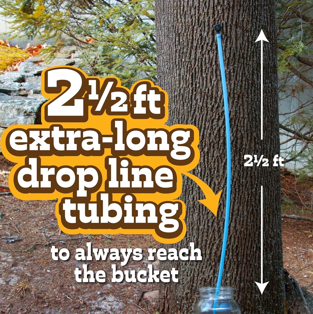deluxe-maple-syrup-tree-tapping-sugaring-3.jpg
