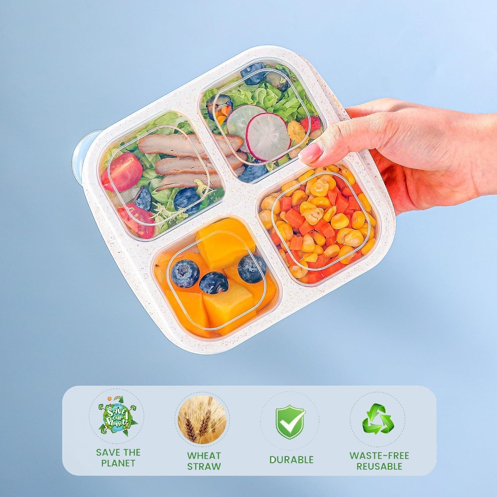 bento-snack-boxes---4-compartment-condim-3.jpg