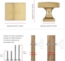 tunny-10-pack-cabinet-knobs-champagne-br-2.jpg