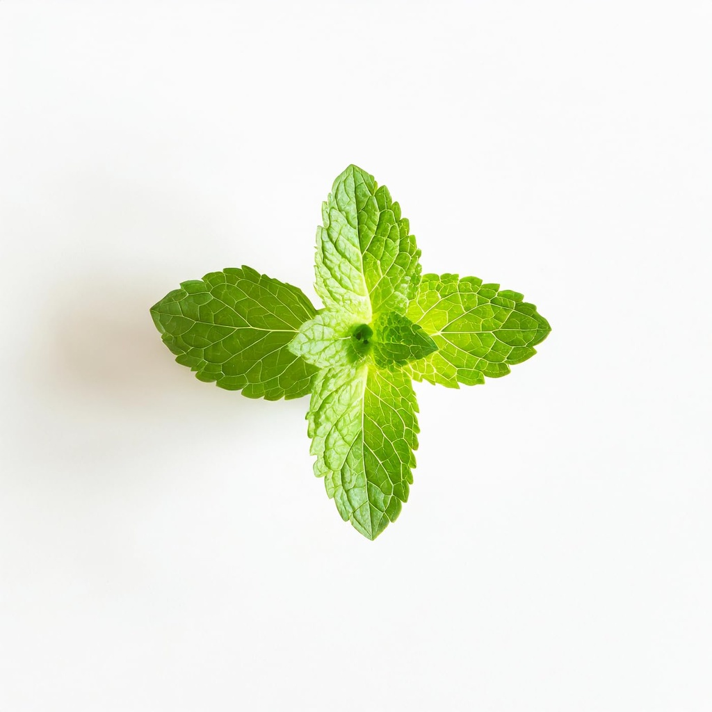 essential-oxygen-certified-br-organic-br-4.jpg