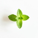essential-oxygen-certified-br-organic-br-4.jpg