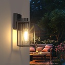 outdoor-light-fixture-wall-mount-led-ext-6.jpg