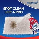 resolve-pet-expert-stain-and-odor-remove-6.jpg