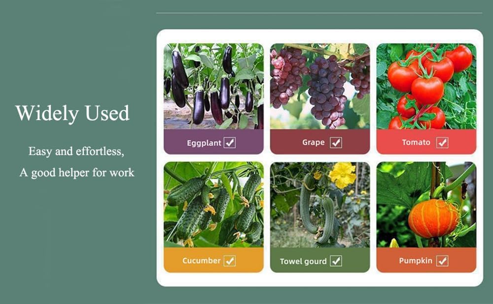 plant-tying-machine-set-vine-tying-machi-4.jpg