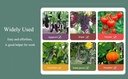 plant-tying-machine-set-vine-tying-machi-4.jpg