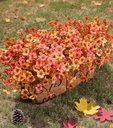 artificial-fall-flowers-fake-mums-for-ou-3.jpg