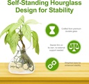 garden-guru-plant-propagation-stations-s-2.jpg