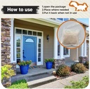 squirrel-repellent-keep-squirrels-out-of-2.jpg