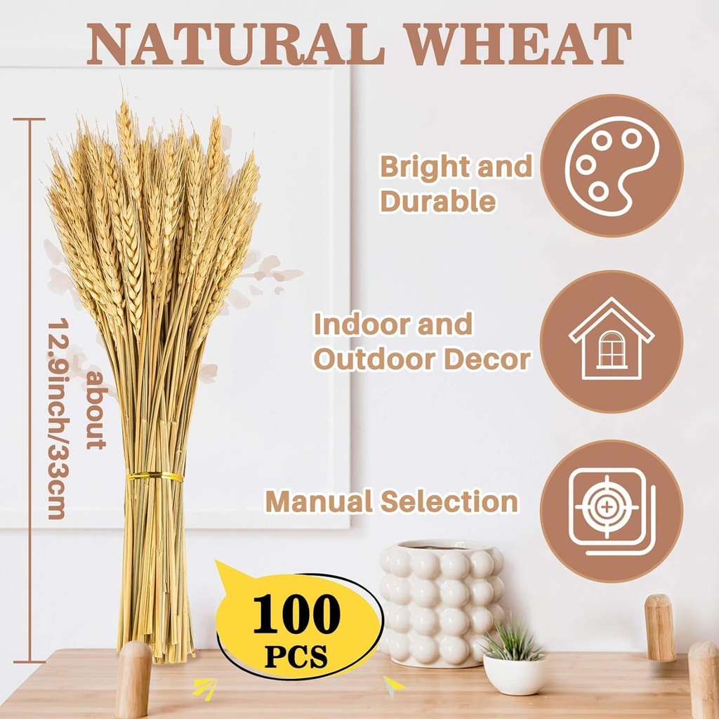 sukh-100-stems-dried-wheat-stalks-for-de-2.jpg