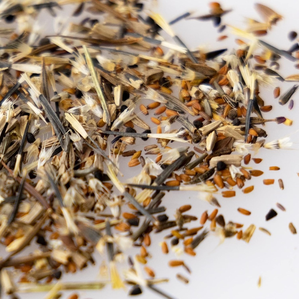 wildflower-seeds-bulk-national-wildflowe-4.jpg