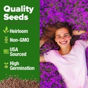 home-grown-purple-creeping-thyme-seeds-n-2.jpg