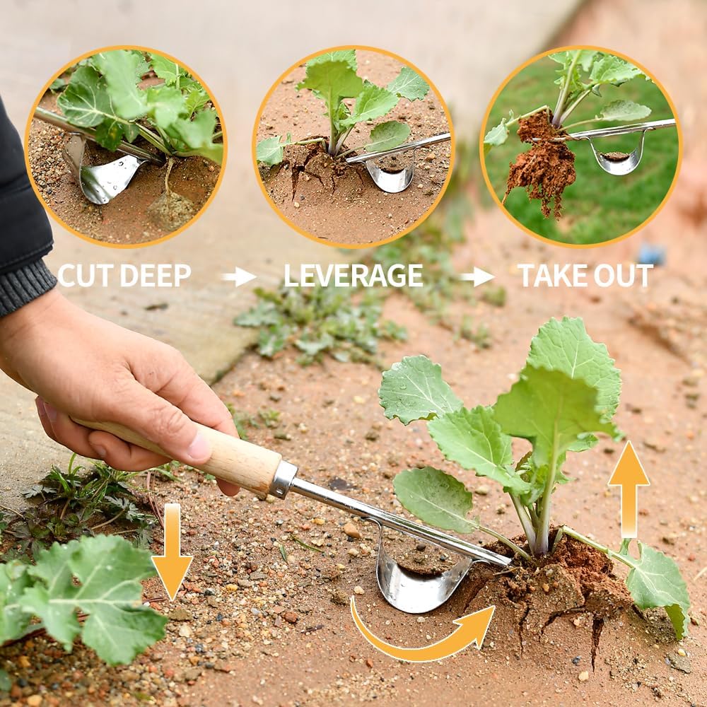 weed-puller-tool-3-pack-2025-new-garden--4.jpg