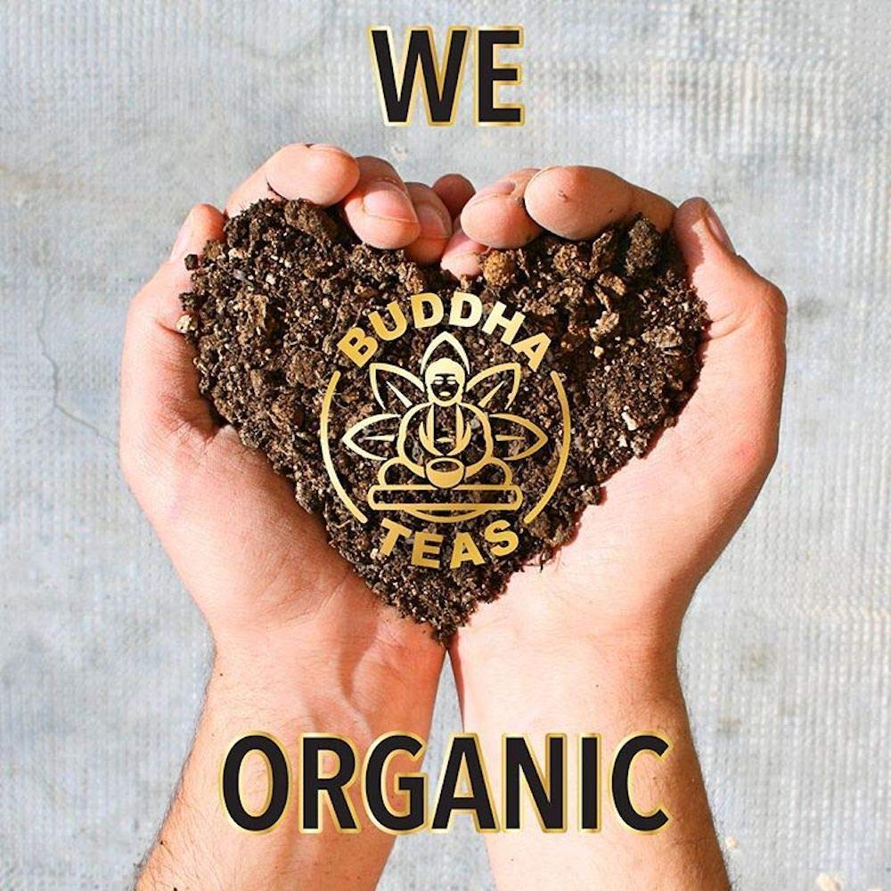 buddha-teas---organic-milk-thistle-tea---5.jpg